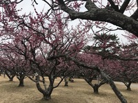 M3tmi6gzQLKAPJlgljS1xg