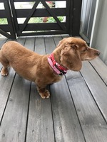 EEWeiNbaQHiebsvFRJwncA