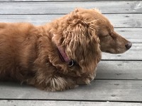 NzBAdnFgTpKY5gIxgI79IQ