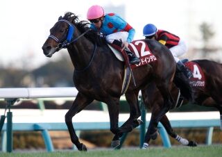 競馬公民館【ステイヤーズS】モンドインテロ好位追走から差し切り重賞初制覇コメントコメントする
