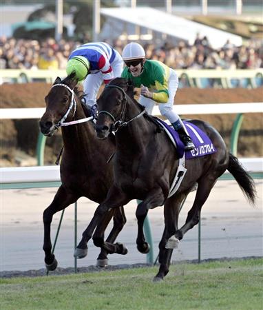 種牡馬 一時代を築いたss Bt Tb 子孫では差がついた 競馬公民館