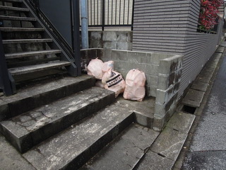 DSCN3782