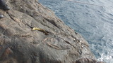 20140118 003
