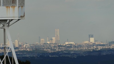202009_o