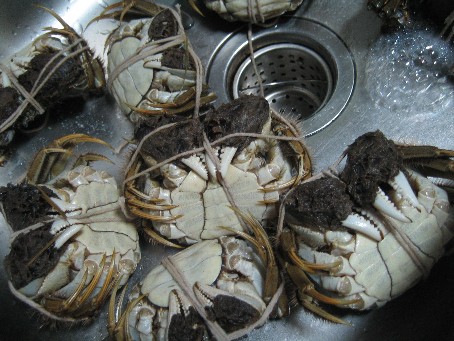 上海蟹を自宅で食べよう 蘇州はハオチー