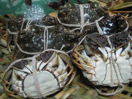 上海蟹を自宅で食べよう 蘇州はハオチー