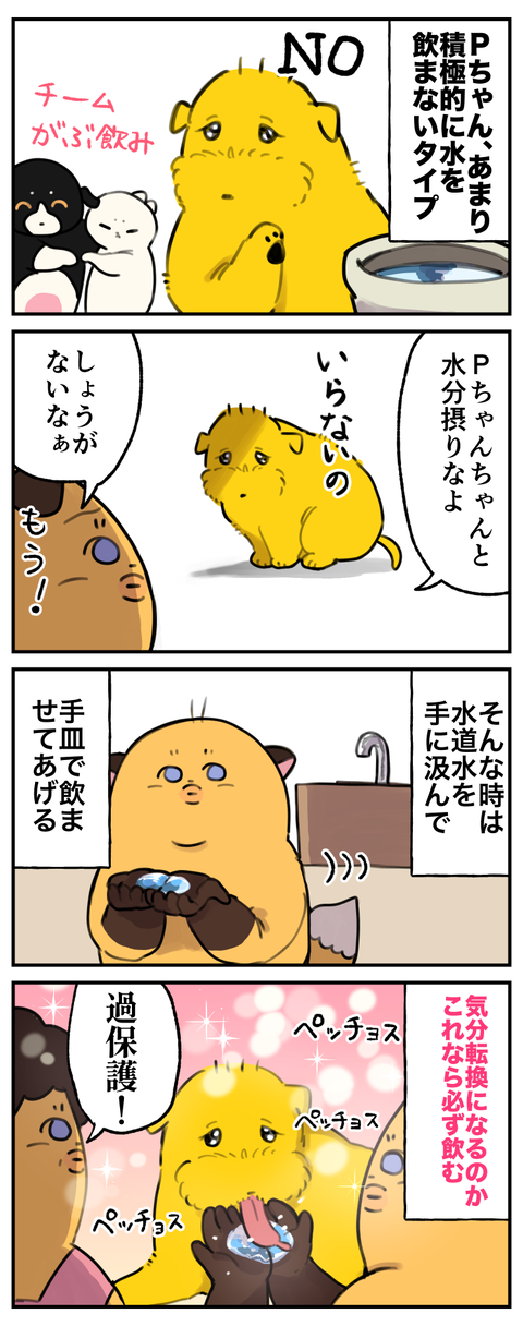 20250619①