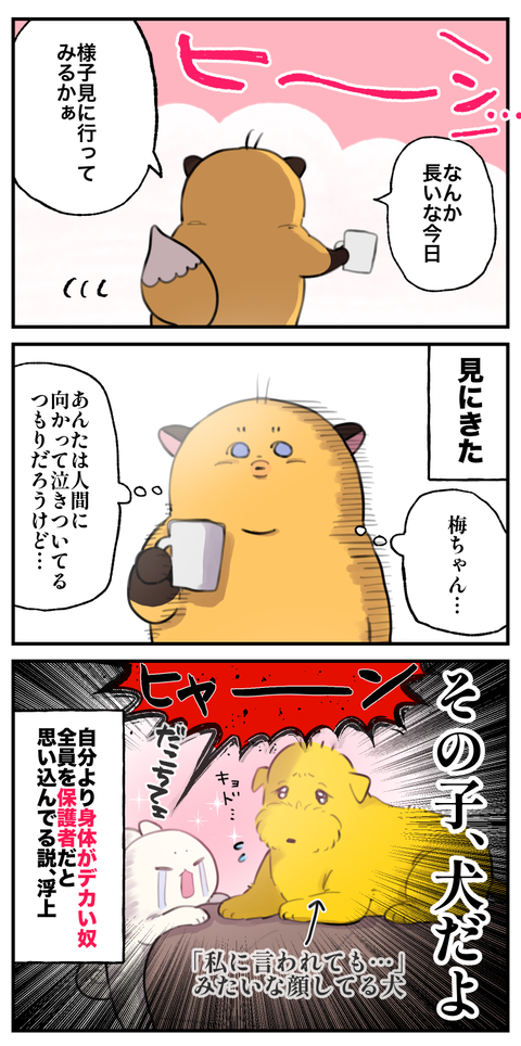 20250611②
