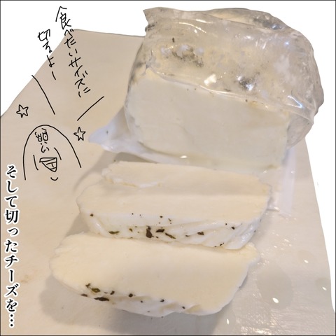 B3A3E445-346E-496B-8E17-B96BB534D415