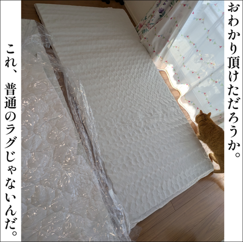D2DE00F4-B075-409A-82D3-ADB8DF31CF43