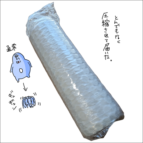 169049C3-EA83-416B-87C7-03EACEC8CD11