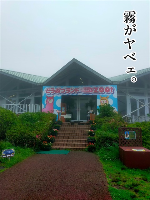 CE2F60D2-FA38-4002-A7DA-1C913BAE3E8F