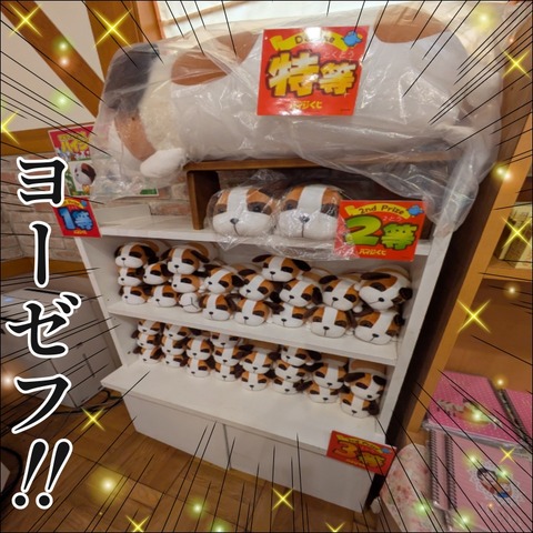 0ED59A36-3574-48BE-84DC-0EC243B54D88
