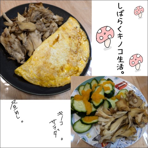 DA99DD9C-8C87-43BD-81CD-17DB45B0FDBC