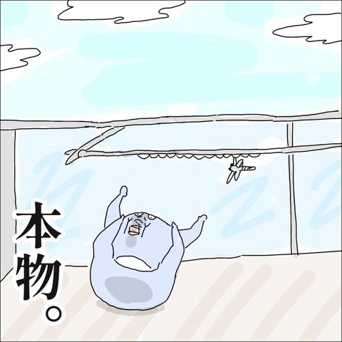 BC5658CE-26F6-4621-828D-3B3C9EF6EBC4
