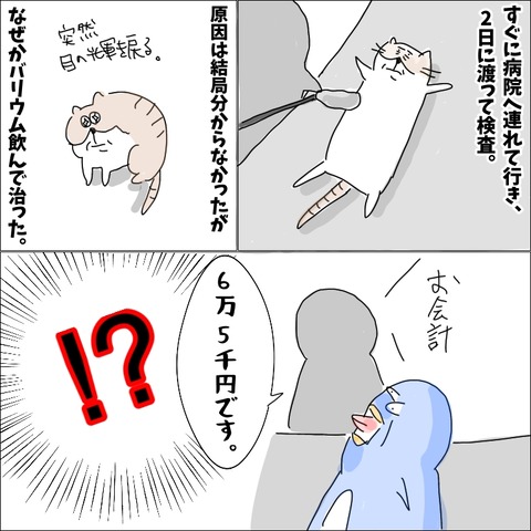 8886B2E2-1EEC-405F-AABC-A33B057406E7