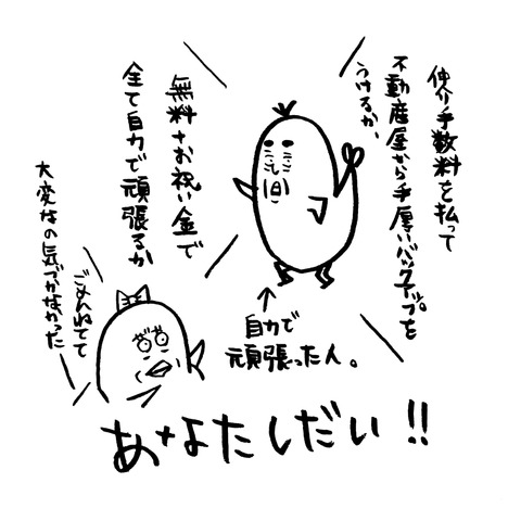 [画像:3d85990b-s.jpg]