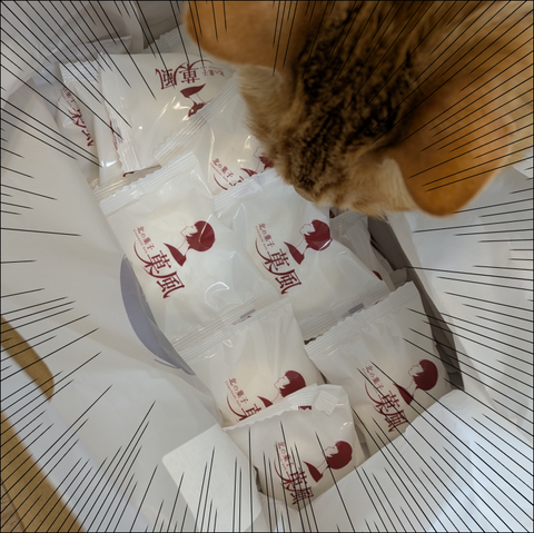 1CF0BA1D-1903-4684-9EAB-89E5E001CF62