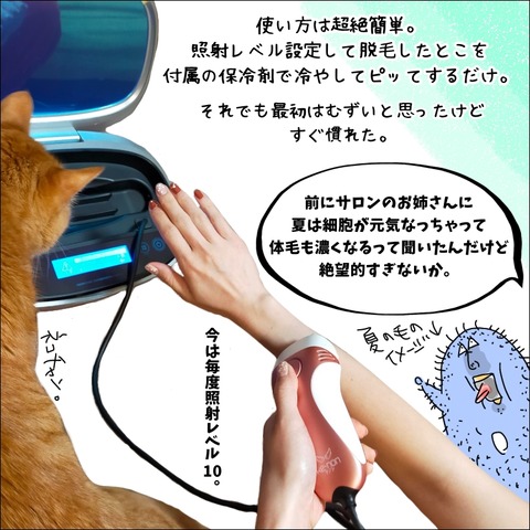 82783375-CD86-495D-AF35-20D6CF7C160B