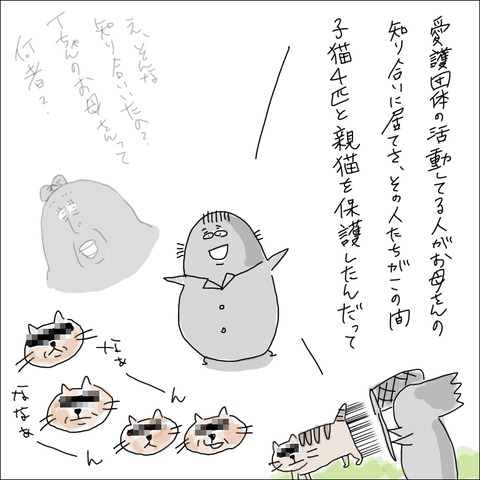 546696A6-A744-4E63-BAB8-EC3B8F22FD64