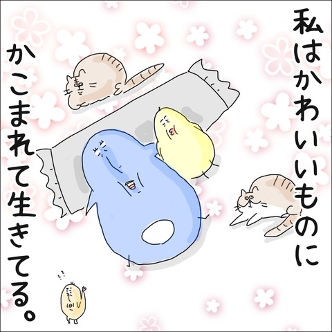 A6FC0938-D32E-4CA8-8532-26F6C0B6FC94