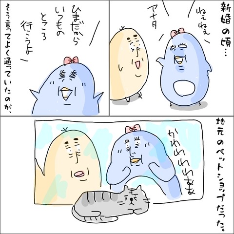 63E91C26-E75F-4857-A58A-29ABF42AE55C