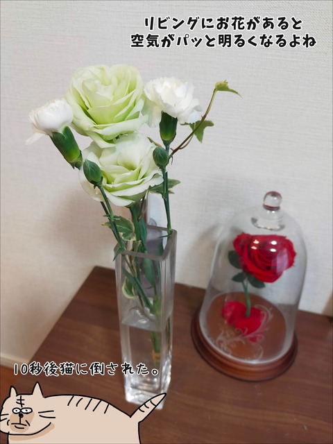1D5D16DC-EA0E-4AFB-9D02-20F3226E1DA7