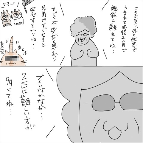 284C8C44-2C62-4150-8AAC-07B379A26EAE