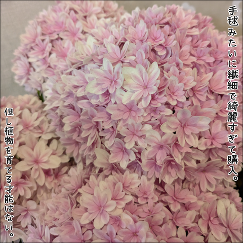 BB0D8BB5-DF22-41B4-BF91-5332780B7002