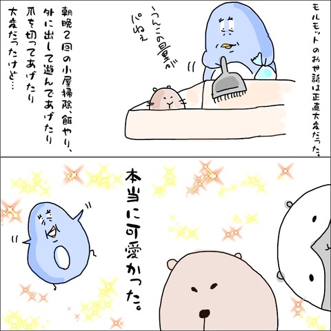 2D9ACBFB-9B7E-4C3E-B902-B74AA338F4AF