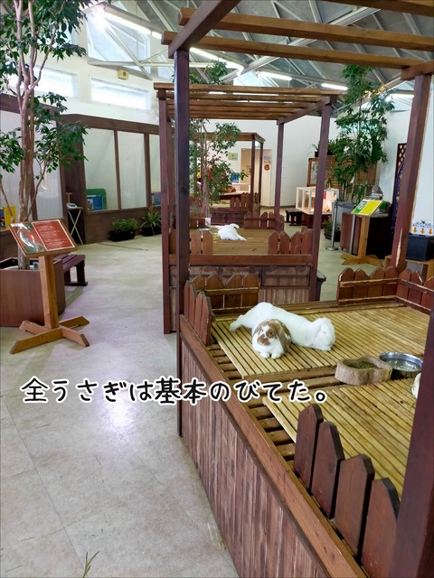 F135780E-1635-4F24-B64D-FE198B8966D4