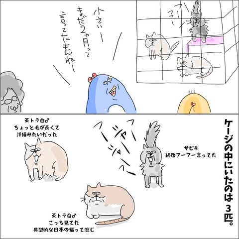 8C4F4E23-49D7-43A7-BC86-F6ADF302CB0E