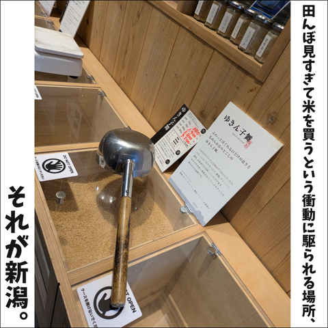 96888B2E-79B9-40E5-A596-4600F035F435
