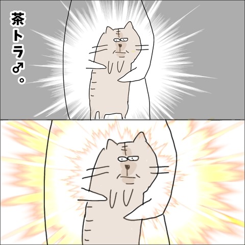 B13808C3-94A7-4D33-BD68-75A528374E02