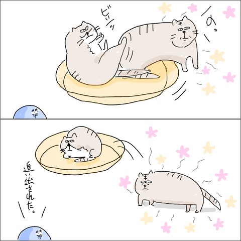E3FF9D9D-9B7F-4D3E-90B9-BC993D13F652