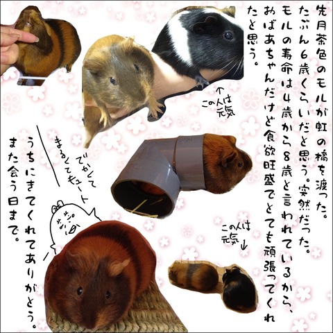 689961C1-0EA7-4E19-A07A-5ED01DAF9D20