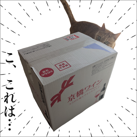 74647036-B1CD-4F3C-9FB0-207DC9BCAED1