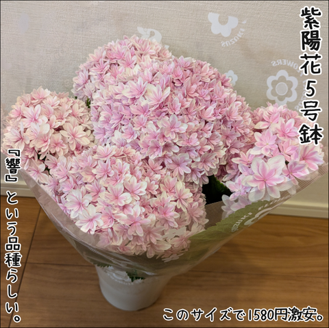 3C0D78E8-353F-4033-87D3-E9EF3AD151A9