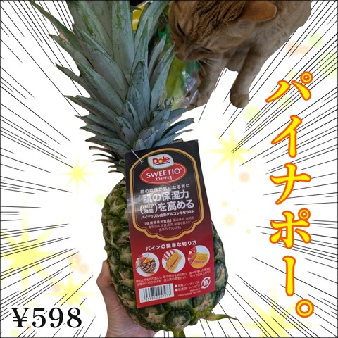 E89CD771-CC97-462B-94BC-78CF5243AB16