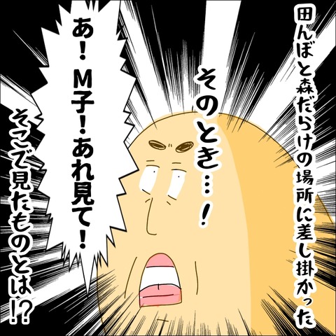 B3EAD2C4-973A-4346-B005-46DAC1C0FD0A