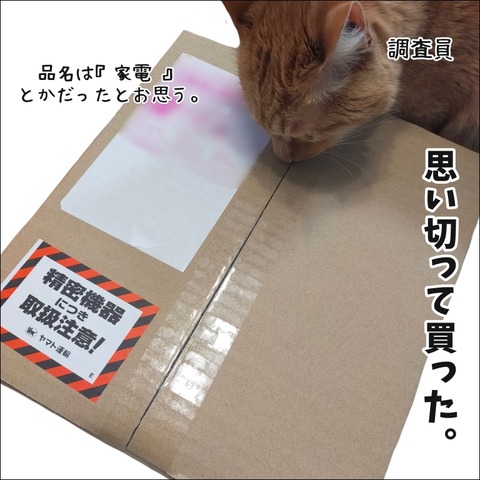479B04CB-CC93-479A-9B91-27F2CE1F4579