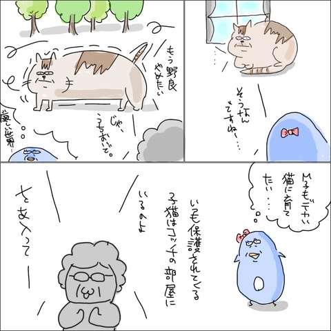 E99E8B27-E829-43BA-AD44-E0FC4CDAD378