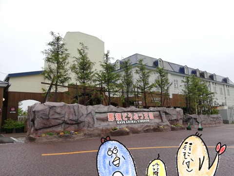 ED4EE0D4-4F34-4F95-9B25-71430120121B