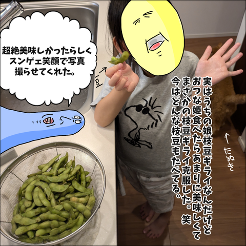 C6823288-68E0-4429-9FF1-DE5F85B93A09