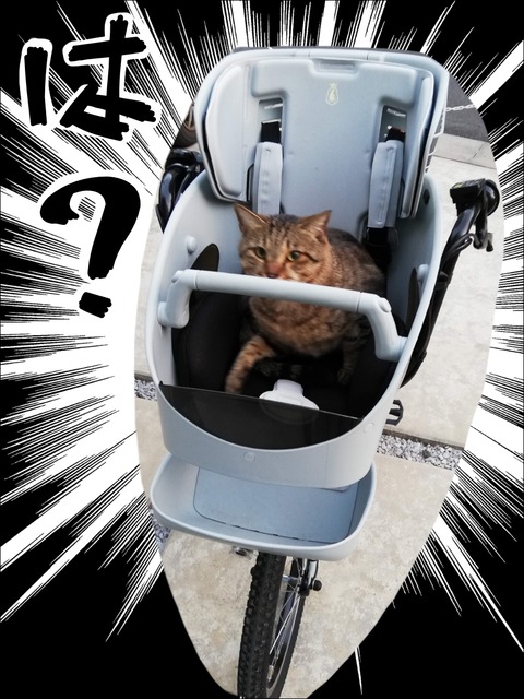 555A0D8A-DDA3-4D6B-A1F6-DE990407EDB5