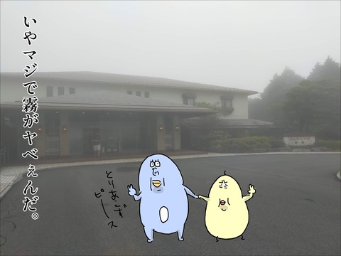 88C0E8B2-477D-4086-ADD2-35F552277148