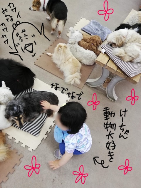 F8AAA898-6554-4DBA-9AFF-27186DEE32D3