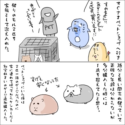 864C3461-3018-4B17-A49B-F1F2B3CFFA3B