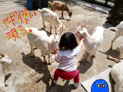 7D06CFFD-7502-470B-9697-B3D133BB6432