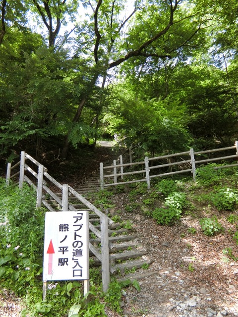 CIMG1297